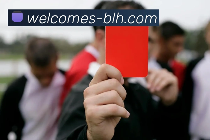 4001老百汇官网发展历程